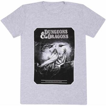 Abbigliamento T-shirts a maniche lunghe Dungeons & Dragons HE1478 Grigio