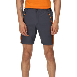Abbigliamento Uomo Shorts / Bermuda Regatta Highton Pro Arancio