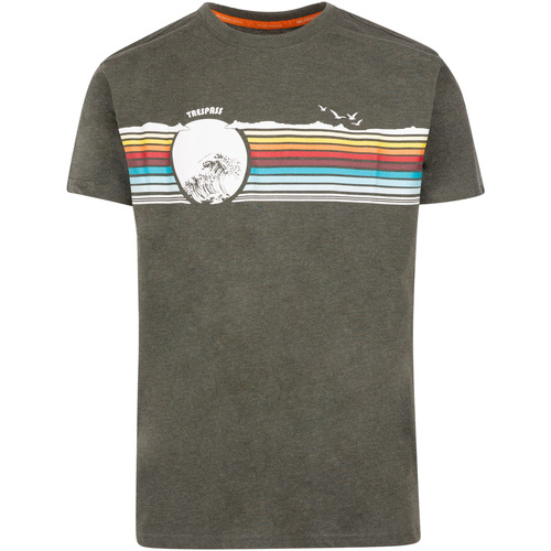 Abbigliamento Uomo T-shirts a maniche lunghe Trespass Lakehouse Multicolore