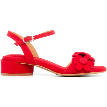 Scarpe Donna Sandali Audley 21944-ORLY-SUEDE-PASION-RED Rosso