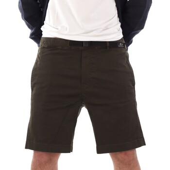 Abbigliamento Uomo Shorts / Bermuda Woolrich 131345 Verde