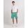 Abbigliamento Uomo Shorts / Bermuda Franklin & Marshall JM4035.2014G46-108 Verde