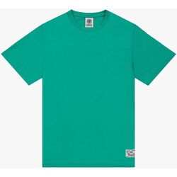Abbigliamento Uomo T-shirt & Polo Franklin & Marshall JM3180.1009P01-108 Verde