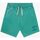 Abbigliamento Uomo Shorts / Bermuda Franklin & Marshall JM4035.2014G46-108 Verde