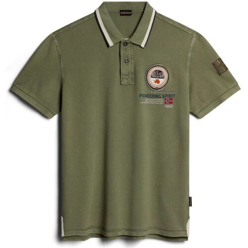 Abbigliamento Uomo T-shirt & Polo Napapijri GANDY 4 - NP0A4H8R-GAE1 GREEN LICHEN Verde