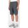 Abbigliamento Uomo Shorts / Bermuda Dickies MILLERVILLE SHORT - DK0A4XED-CH01 - CHARCOAL GREY Grigio