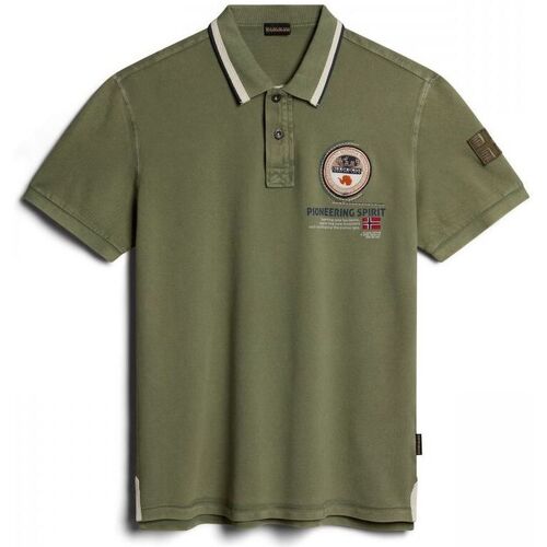 Abbigliamento Uomo T-shirt & Polo Napapijri GANDY 4 - NP0A4H8R-GAE1 GREEN LICHEN Verde