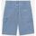 Abbigliamento Uomo Shorts / Bermuda Dickies GARYVILLE DNM SHORT - DK0A4XCK-C151 - VNTG BLUE Blu