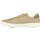 Scarpe Uomo Sneakers Fred Perry Spencer Mesh Marrone