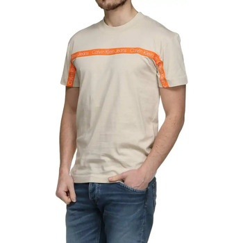 Abbigliamento Uomo T-shirt maniche corte Calvin Klein Jeans Classic logo color line Giallo