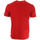 Abbigliamento Uomo T-shirt & Polo Hungaria 718890-60 Rosso