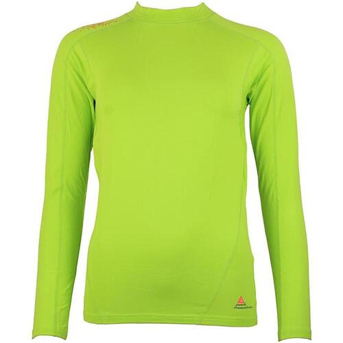 Abbigliamento Donna T-shirts a maniche lunghe Peak Mountain Top technique femme ANABI Verde