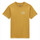 Abbigliamento Uomo T-shirt & Polo Vans Ground up ss tee Arancio