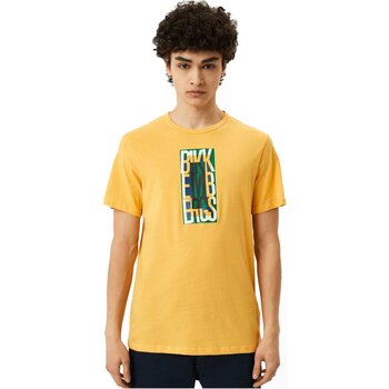Abbigliamento Uomo T-shirt maniche corte Bikkembergs T-Shirts BKK2MTS04 - Uomo Giallo