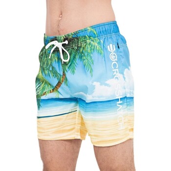 Abbigliamento Uomo Shorts / Bermuda Crosshatch Dream Blu