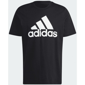 Abbigliamento Uomo T-shirt maniche corte adidas Originals T-shirt  Essentials Big Logo (IC9347) Nero