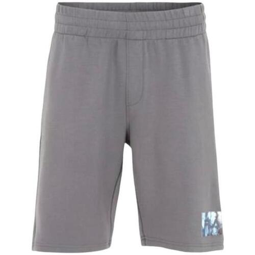 Abbigliamento Uomo Shorts / Bermuda Fila Bisag Grigio