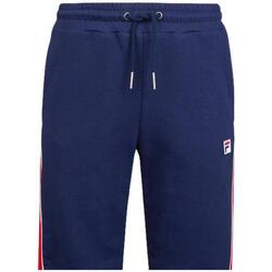 Abbigliamento Uomo Shorts / Bermuda Fila Bisag Blu