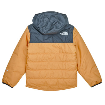 The North Face Boys Never Stop Synthetic Jacket Marrone