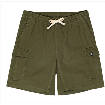Abbigliamento Uomo Shorts / Bermuda Element Utility wkst Verde