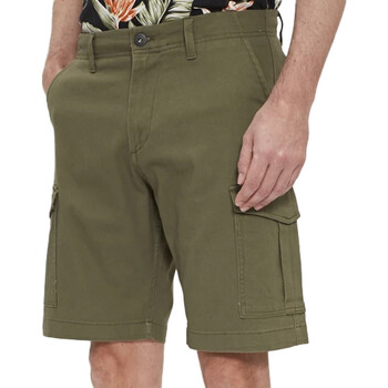 Abbigliamento Uomo Shorts / Bermuda Jack & Jones 12231510 Verde