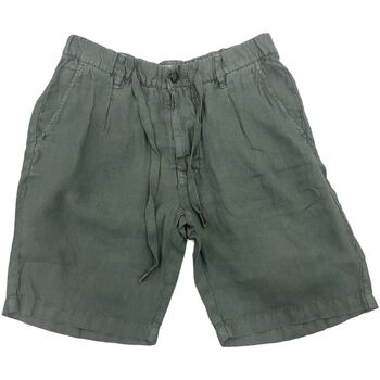 Abbigliamento Uomo Shorts / Bermuda Alley Docks  Verde