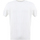 Abbigliamento Uomo T-shirt & Polo Jeordie's 20562 100 Bianco