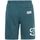 Abbigliamento Uomo Shorts / Bermuda Heron Preston logo CTNMB Blu