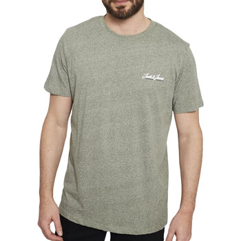 Abbigliamento Uomo T-shirt maniche corte Jack & Jones 12207349 Verde