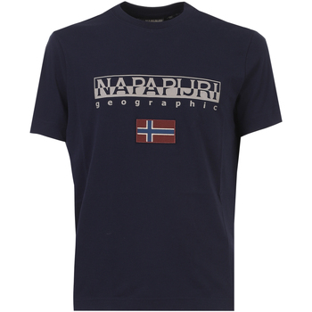 Abbigliamento Uomo T-shirt & Polo Napapijri NP0A4GDQ 1761 Blu