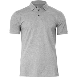 Abbigliamento Uomo T-shirt & Polo Nimbus Harvard Grigio