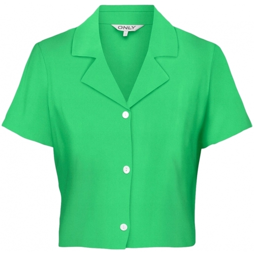 Abbigliamento Donna Top / Blusa Only Shirt Caro Linen - Summer Green Verde