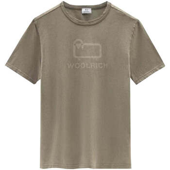 Abbigliamento Uomo T-shirt & Polo Woolrich  Beige