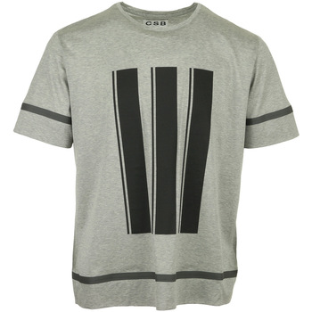 Abbigliamento Uomo T-shirt maniche corte Csb London Stripe Printed T-Shirt Grigio