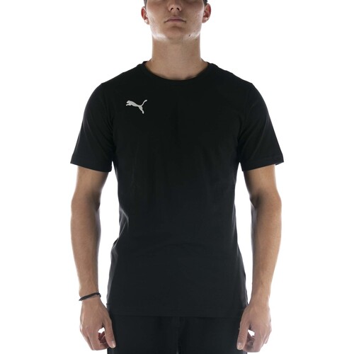 Abbigliamento Uomo T-shirt & Polo Puma T-Shirt  Teamgoal 23 Casuals Tee Nero Nero