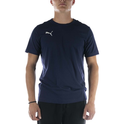 Abbigliamento Uomo T-shirt & Polo Puma T-Shirt  Teamgoal 23 Casuals Tee Blu Blu