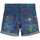 Abbigliamento Bambino Shorts / Bermuda Guess N3GD07WFGE0-P9PM 2000000306704 Blu