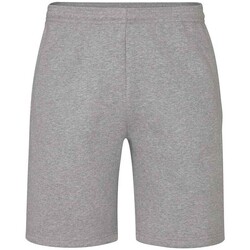 Abbigliamento Shorts / Bermuda Mantis Essential Grigio