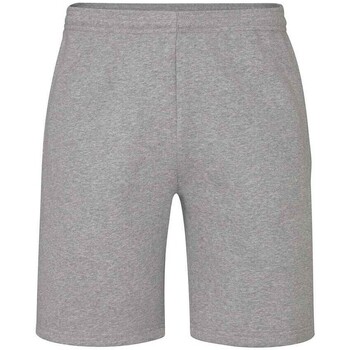 Abbigliamento Shorts / Bermuda Mantis M07 Grigio
