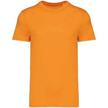 Abbigliamento T-shirts a maniche lunghe Native Spirit NS305 Arancio