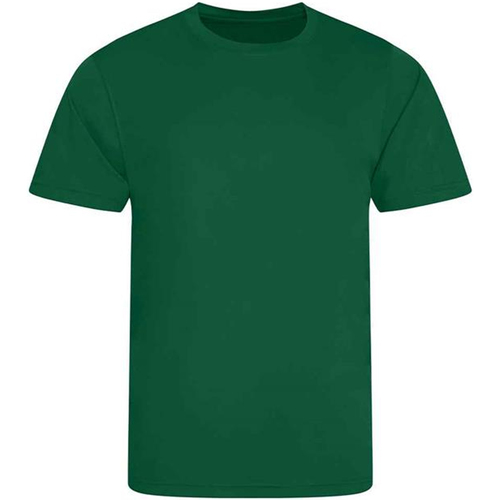Abbigliamento Uomo T-shirt maniche corte Awdis Just Cool Verde