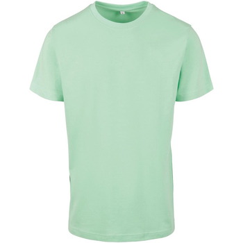 Abbigliamento Uomo T-shirts a maniche lunghe Build Your Brand BY004 Verde