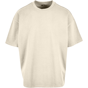 Abbigliamento Uomo T-shirts a maniche lunghe Build Your Brand RW8680 Multicolore
