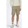 Abbigliamento Uomo Pantaloni Only & Sons  ONSPETER REG TWILL 4481 SHORTS NOOS Beige