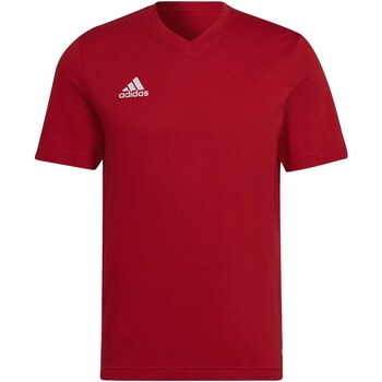 Abbigliamento Uomo T-shirt & Polo adidas Originals Ent22 Tee Rosso