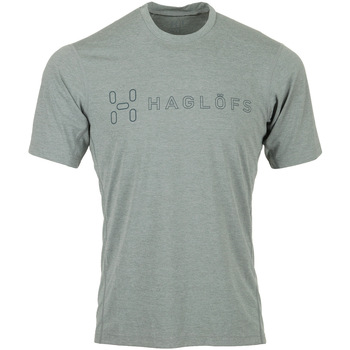 Abbigliamento Uomo T-shirt maniche corte Haglöfs Ridge II Tee Grigio