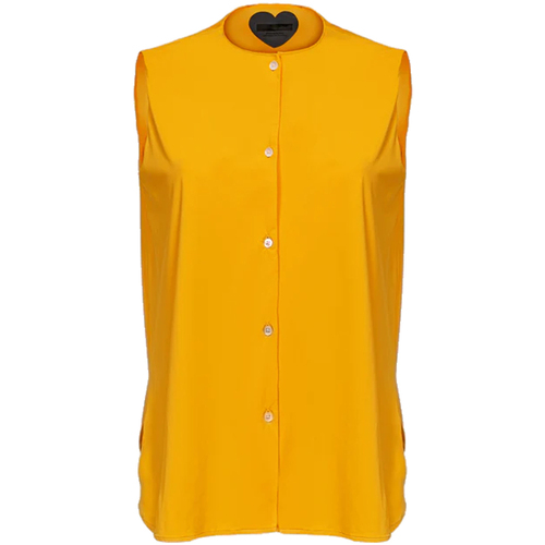 Abbigliamento Donna Top / T-shirt senza maniche Rrd - Roberto Ricci Designs 23632-32 Arancio