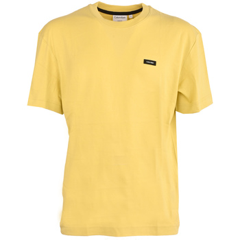 Abbigliamento Uomo T-shirt maniche corte Calvin Klein Jeans k10k110669-kcq Giallo
