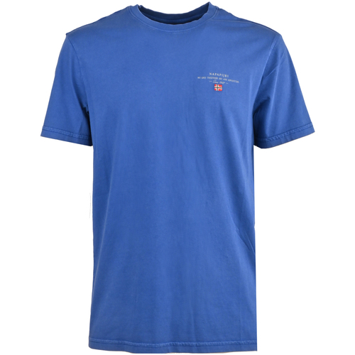 Abbigliamento Uomo T-shirt maniche corte Napapijri np0a4gbq-b5a Blu