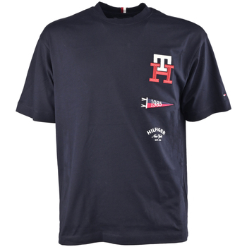 Abbigliamento Uomo T-shirt maniche corte Tommy Hilfiger mw0mw30042-dw5 Blu